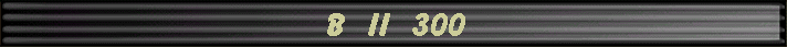 B II 300